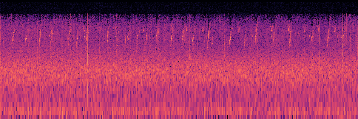 Spectrogram: Rain With Avian Chorus